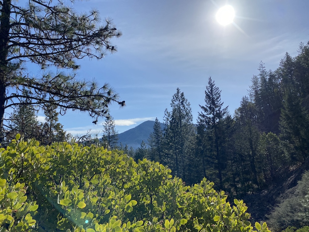 looking south west from mt hope